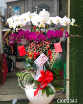 G000341 - belovedbeyond.com