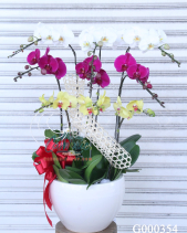 G000354 - belovedbeyond.com