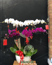 G000537 - belovedbeyond.com