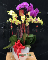 G000542 - belovedbeyond.com