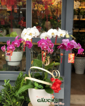 G000543 - belovedbeyond.com