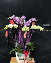 G000546 - belovedbeyond.com