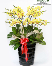 G000326 - belovedbeyond.com