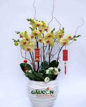 G000328 - belovedbeyond.com