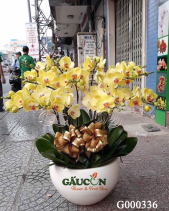 G000336 - belovedbeyond.com