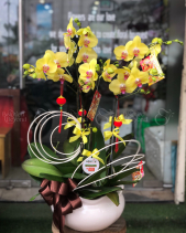 G000342 - belovedbeyond.com