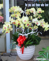 G000346 - belovedbeyond.com