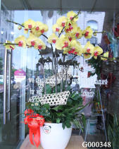 G000348 - belovedbeyond.com