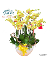 G000507 - belovedbeyond.com