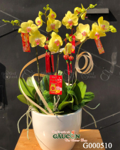 G000510 - belovedbeyond.com