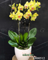 G000512 - belovedbeyond.com