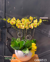 G000513 - belovedbeyond.com