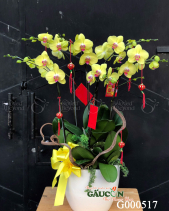 G000517 - belovedbeyond.com