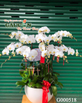 G000518 - belovedbeyond.com
