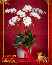 Hồ Điệp Trắng - belovedbeyond.com
