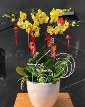 G000509 - belovedbeyond.com