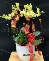 G000514 - belovedbeyond.com