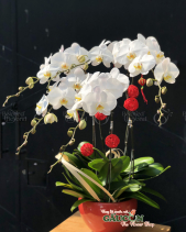 G000522 - belovedbeyond.com