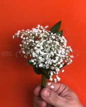 Hoa Cưới - belovedbeyond.com