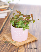 Lá May Mắn - belovedbeyond.com