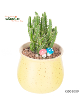 Xương Rồng Tháp Chàm - belovedbeyond.com