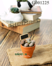 Thạch Lan Siêu Mini - belovedbeyond.com