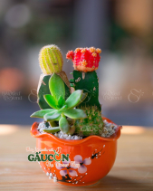 Cây Xanh Văn Phòng - belovedbeyond.com