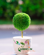 Cây Xanh Văn Phòng - belovedbeyond.com