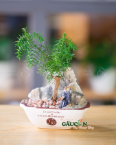 Cây Xanh Văn Phòng - belovedbeyond.com