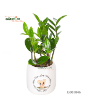 Kim Tiền - belovedbeyond.com