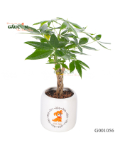 Kim Ngân - belovedbeyond.com