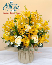 G000893 - belovedbeyond.com