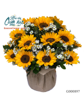 G000897 - belovedbeyond.com