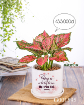 Ngày Của Mẹ - belovedbeyond.com