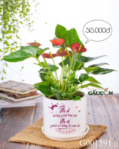 Ngày Của Mẹ - belovedbeyond.com
