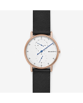 Skagen Signatur Skw6390 - belovedbeyond.com