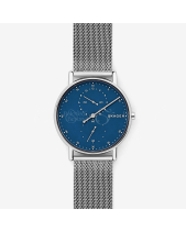 Skagen Signatur Skw6389 - belovedbeyond.com