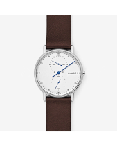 Skagen Signatur Skw6391 - belovedbeyond.com