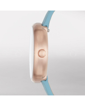 Skagen Signatur Skw2621 - belovedbeyond.com