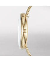 Skagen Signatur Skw2625 - belovedbeyond.com