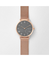 Skagen skw2675 online