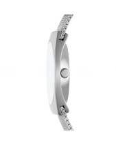 Skagen Grenen Skw3038 - belovedbeyond.com
