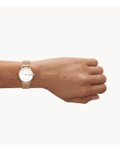 Skagen Signatur Skw1153Set - belovedbeyond.com