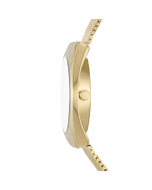 Skagen Grenen Solar Skw3087 - belovedbeyond.com