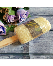 Cây Chà Lưng Xơ Mướp - belovedbeyond.com