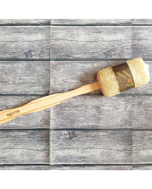 Cây Chà Lưng Xơ Mướp - belovedbeyond.com