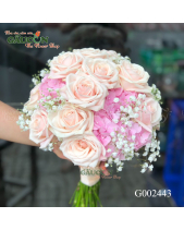G002443 - belovedbeyond.com