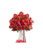 Tấn Lộc - belovedbeyond.com