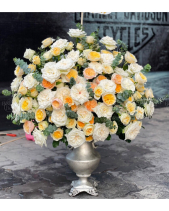 Tinh Khôi - belovedbeyond.com