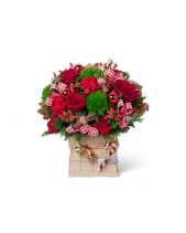 Best Christmas - belovedbeyond.com